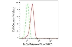 Invitrogen MCM7 Recombinant Rabbit Monoclonal Antibody (23GB930), Invitrogen
