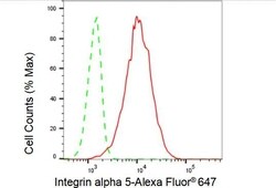 Invitrogen ITGA5 Recombinant Rabbit Monoclonal Antibody (23GB1050) 20 &mu;L | Buy Online | Invitrogen&trade; | Fisher Scientific