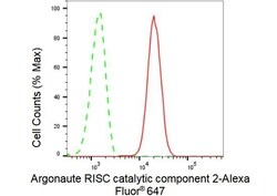 Invitrogen AGO2 Recombinant Rabbit Monoclonal Antibody (23GB1790):Antibodies:Primary