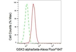 Invitrogen GSK3 alpha/beta Recombinant Rabbit Monoclonal Antibody (23GB1100):Antibodies:Primary