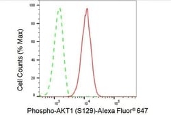 Invitrogen Phospho-AKT1 (Ser129) Recombinant Rabbit Monoclonal Antibody