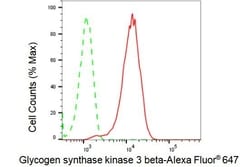 Invitrogen GSK3B Recombinant Rabbit Monoclonal Antibody (23GB1250), Invitrogen