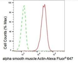 Invitrogen Alpha-Smooth Muscle Actin Recombinant Rabbit Monoclonal Antibody