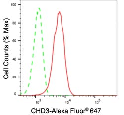 Invitrogen CHD3 Recombinant Rabbit Monoclonal Antibody (23GB1305), Invitrogen
