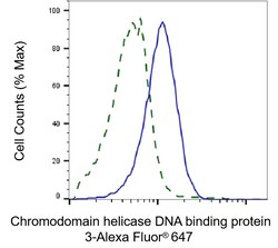 Invitrogen CHD3 Recombinant Rabbit Monoclonal Antibody (23GB1305), Invitrogen