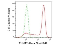 Invitrogen EHMT2 Recombinant Rabbit Monoclonal Antibody (23GB825), Invitrogen