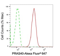 Invitrogen PRAS40 Recombinant Rabbit Monoclonal Antibody (23GB640), Invitrogen