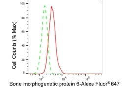 Invitrogen BMP-6 Recombinant Rabbit Monoclonal Antibody (23GB3705), Invitrogen