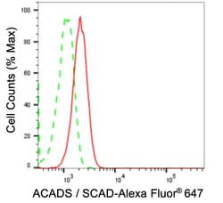 Invitrogen ACADS Recombinant Rabbit Monoclonal Antibody (23GB1365), Invitrogen