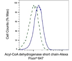 Invitrogen ACADS Recombinant Rabbit Monoclonal Antibody (23GB1365), Invitrogen