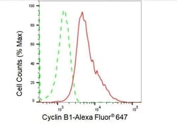 Invitrogen Cyclin B1 Recombinant Rabbit Monoclonal Antibody (23GB1670) 20 &mu;L | Buy Online | Invitrogen&trade; | Fisher Scientific