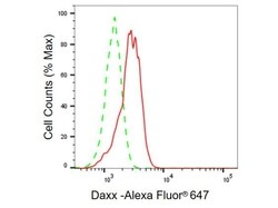 Invitrogen DAXX Recombinant Rabbit Monoclonal Antibody (23GB795), Invitrogen
