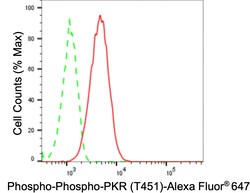 Invitrogen Phospho-PKR (Thr451) Recombinant Rabbit Monoclonal Antibody