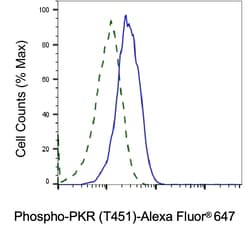 Invitrogen Phospho-PKR (Thr451) Recombinant Rabbit Monoclonal Antibody