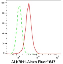 Invitrogen ABH1 Recombinant Rabbit Monoclonal Antibody (23GB1385), Invitrogen
