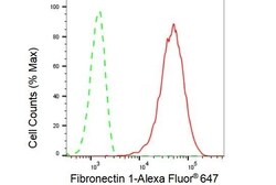 Invitrogen Fibronectin Recombinant Rabbit Monoclonal Antibody (23GB1270),
