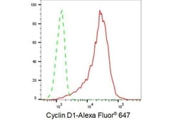 Invitrogen Cyclin D1 Recombinant Rabbit Monoclonal Antibody (23GB735),
