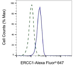 Invitrogen ERCC1 Recombinant Rabbit Monoclonal Antibody (23GB1230), Invitrogen