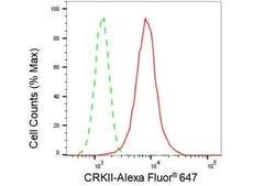 Invitrogen CRK Recombinant Rabbit Monoclonal Antibody (23GB1405), Invitrogen