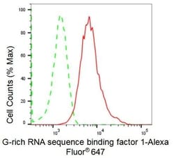 Invitrogen GRSF1 Recombinant Rabbit Monoclonal Antibody (23GB1660), Invitrogen