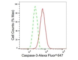 Invitrogen Caspase 3 Recombinant Rabbit Monoclonal Antibody (23GB705),
