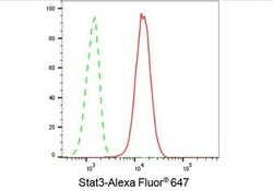 Invitrogen STAT3 Recombinant Rabbit Monoclonal Antibody (23GB990), Invitrogen