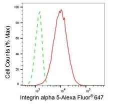 Invitrogen ITGA5 Recombinant Rabbit Monoclonal Antibody (23GB880), Invitrogen