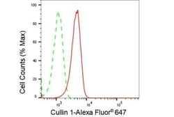 Invitrogen Cullin 1 Recombinant Rabbit Monoclonal Antibody (23GB1555),