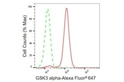 Invitrogen GSK3 alpha Recombinant Rabbit Monoclonal Antibody (23GB855),