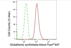 Invitrogen GSS Recombinant Rabbit Monoclonal Antibody (23GB4385), Invitrogen