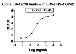 Invitrogen Epstein-Barr Virus Hhv-4 GP42 Humanized Recombinant Human Monoclonal