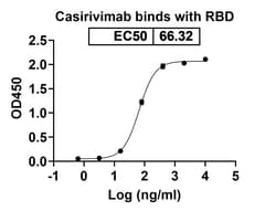 Invitrogen&trade;&nbsp;Casirivimab Humanized Recombinant Human Monoclonal Antibody