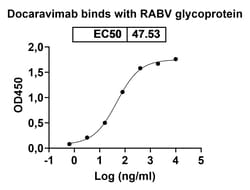 Invitrogen Docaravimab Recombinant Mouse Monoclonal Antibody 100 &mu;g;