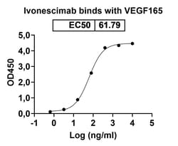 Invitrogen Ivonescimab Humanized Recombinant Human Monoclonal Antibody