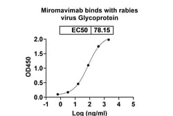 Invitrogen Miromavimab Recombinant Mouse Monoclonal Antibody 100 &mu;g;