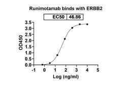 Invitrogen Runimotamab Humanized Recombinant Human Monoclonal Antibody