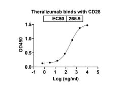 Invitrogen Theralizumab Humanized Recombinant Human Monoclonal Antibody
