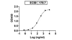 Invitrogen VIR-2482 Humanized Recombinant Human Monoclonal Antibody (VIR-2482)