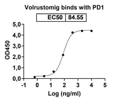 Invitrogen Volrustomig Humanized Recombinant Human Monoclonal Antibody 100 &mu;g | Buy Online | Invitrogen&trade; | Fisher Scientific