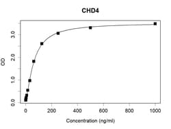 CHD4 Recombinant Human Monoclonal Antibody (K49015_15E2), Invitrogen&trade;