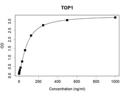 TOP1 Recombinant Human Monoclonal Antibody (K94015_6C5), Invitrogen&trade;
