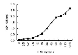 IL-16 Monoclonal Antibody (K1E006_3F11), Invitrogen&trade;