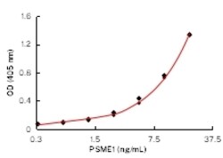 PSME1 Monoclonal Antibody (KAA124_8B6), Invitrogen&trade;
