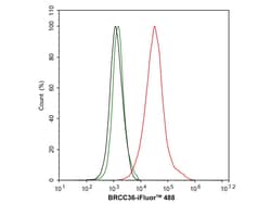Invitrogen BRCC3 Recombinant Rabbit Monoclonal Antibody (PSH05-10) 100