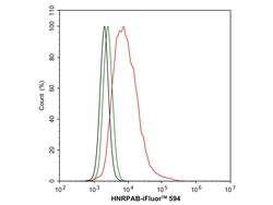Invitrogen hnRNP AB Recombinant Rabbit Monoclonal Antibody (PSH05-37) 100