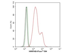 Invitrogen hnRNP AB Recombinant Rabbit Monoclonal Antibody (PSH05-37) 100
