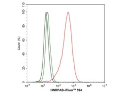 Invitrogen hnRNP AB Recombinant Rabbit Monoclonal Antibody (PSH05-37) 100