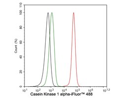 Invitrogen CSNK1A1/CSNK1A1L Recombinant Rabbit Monoclonal Antibody (PSH04-58)