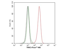 Invitrogen TrkC Recombinant Rabbit Monoclonal Antibody (PSH05-40) 100 &mu;L;
