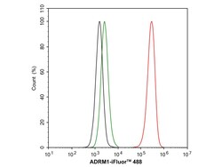 Invitrogen ADRM1 Recombinant Rabbit Monoclonal Antibody (PSH05-41) 100